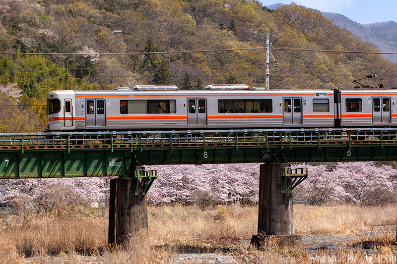 同列車を望遠レンズで
