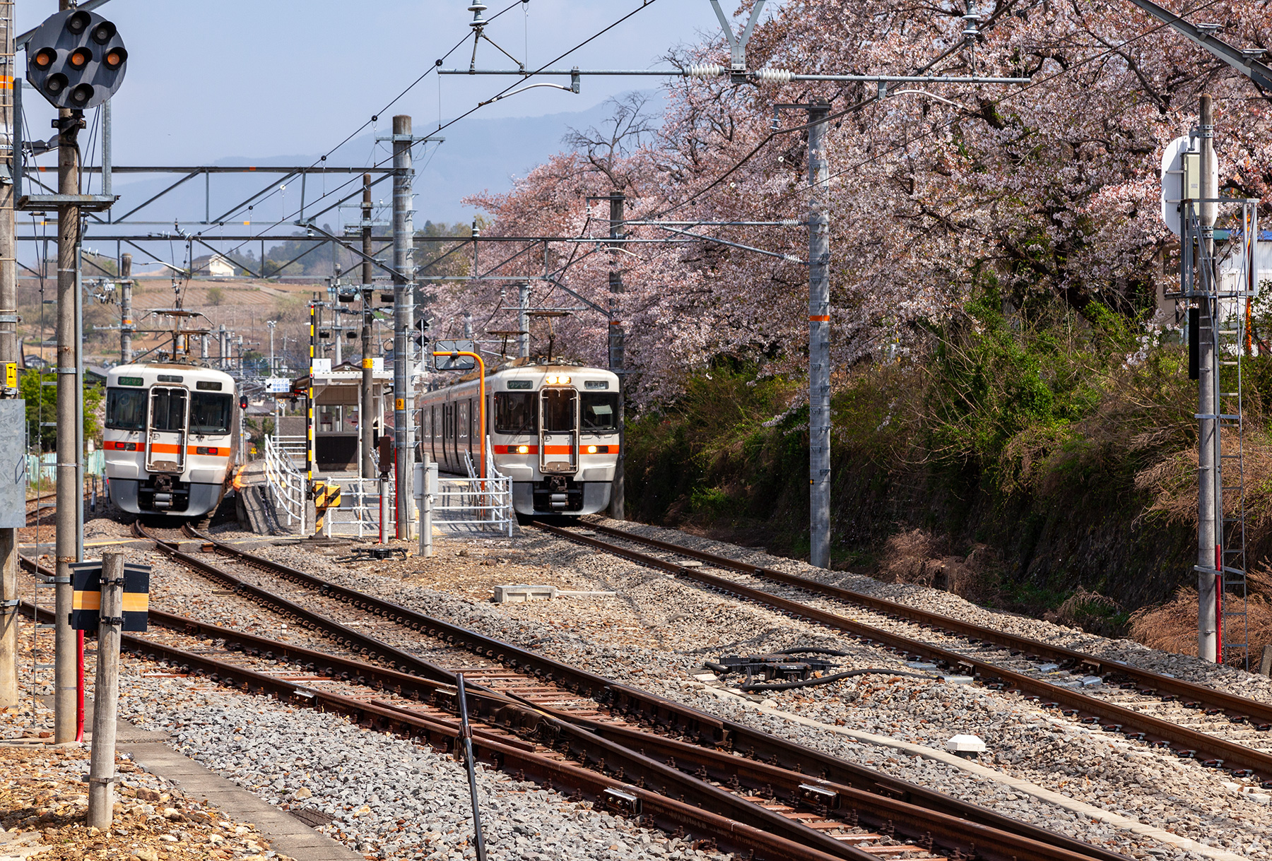 離合する3737Gと3730G列車